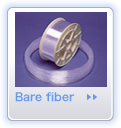 bare fiber